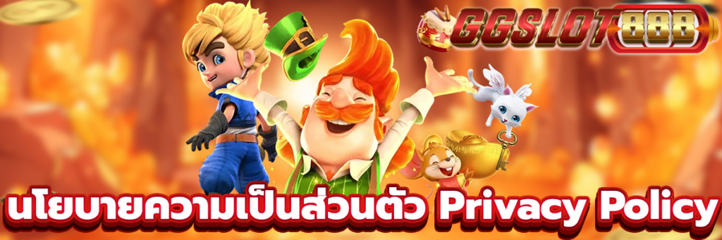 นโยบายความเป็นส่วนตัว